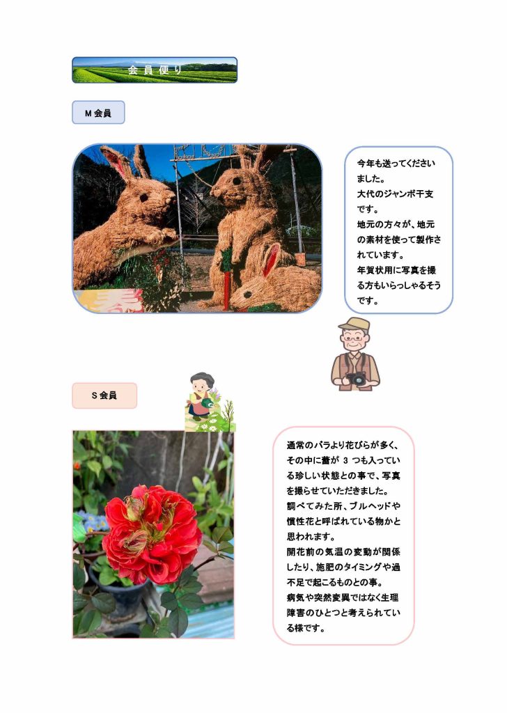 静岡通信56号 3P